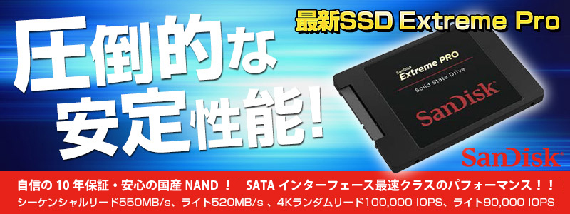 SanDisk Extreme Pro SSD SanDisk Extreme PRO 480GB 10個 MLC 高耐久SSD