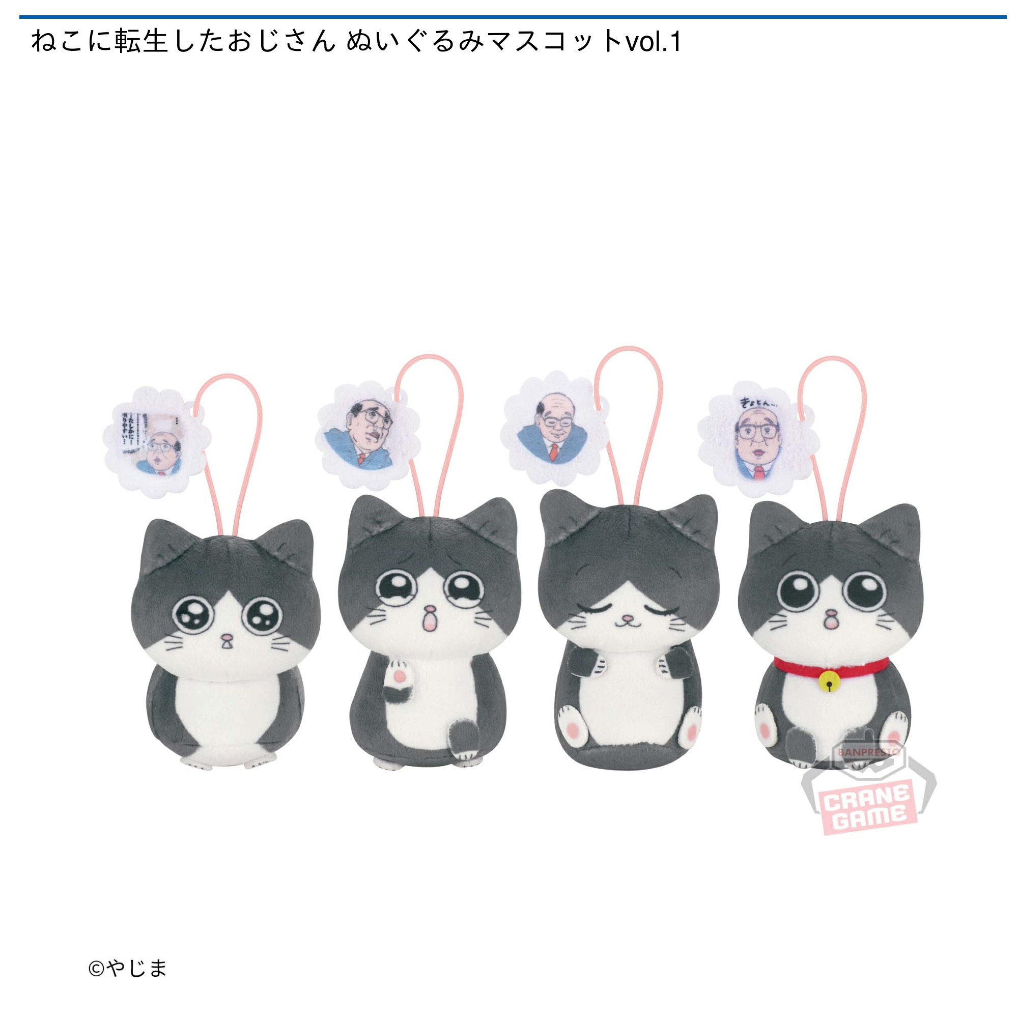 タイトーくじ ねこに転生したおじさん 1ロット タイトーくじ ねこに