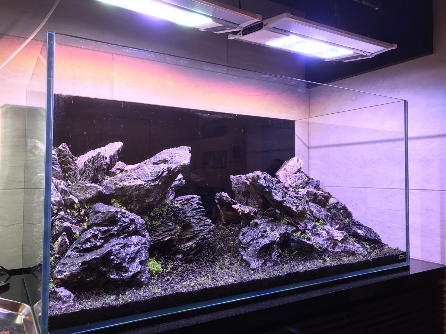 Gussan☆ 4[新品 親石付]清流石20×2キロ☆水槽 レイアウト