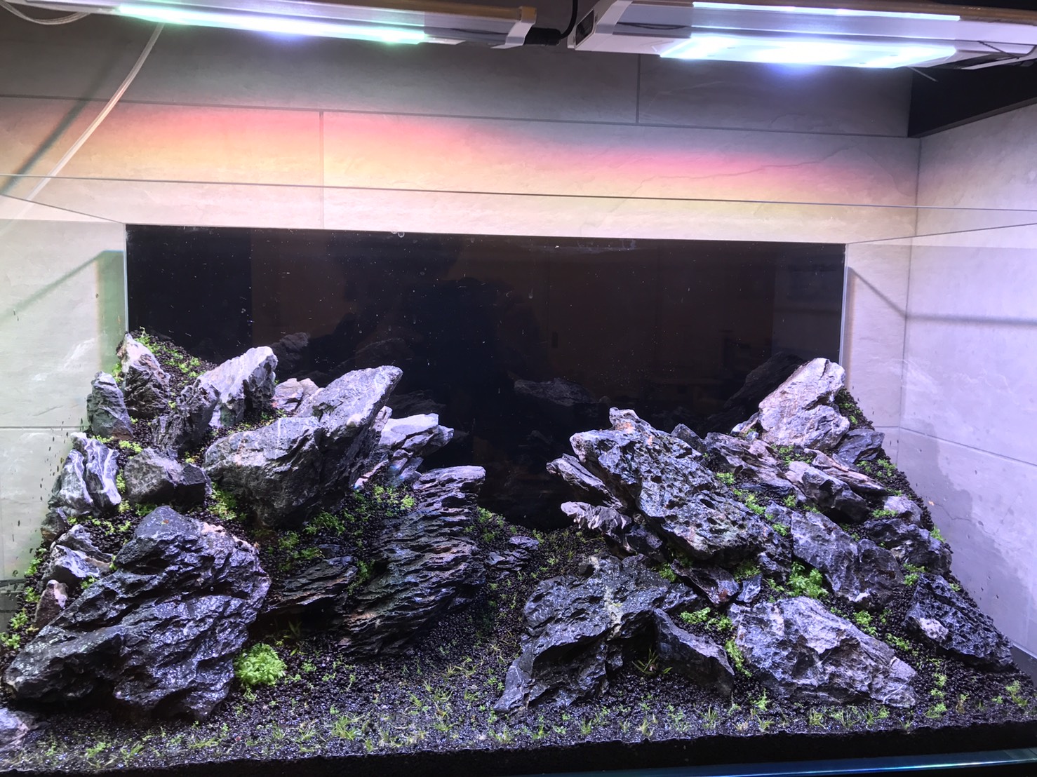 ADA ADA アクアリウム 石 青龍石系 青龍石 龍王石 青華石 清流石