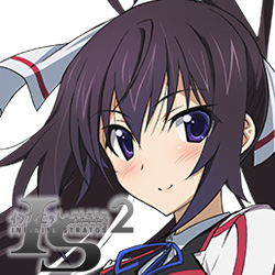 インフィニット・ストラトス アニメ 化 決定 A4 クリアファイル 希少