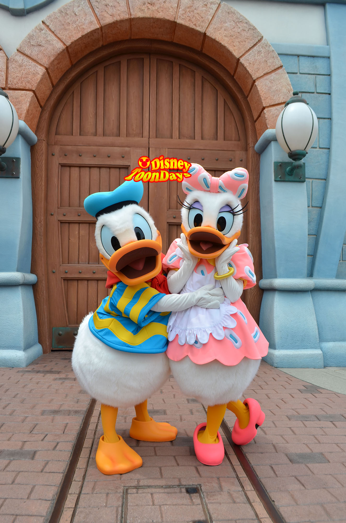 ディズニーロルカナ 星々の輝き デイジーダック ドナルドの彼女 4枚