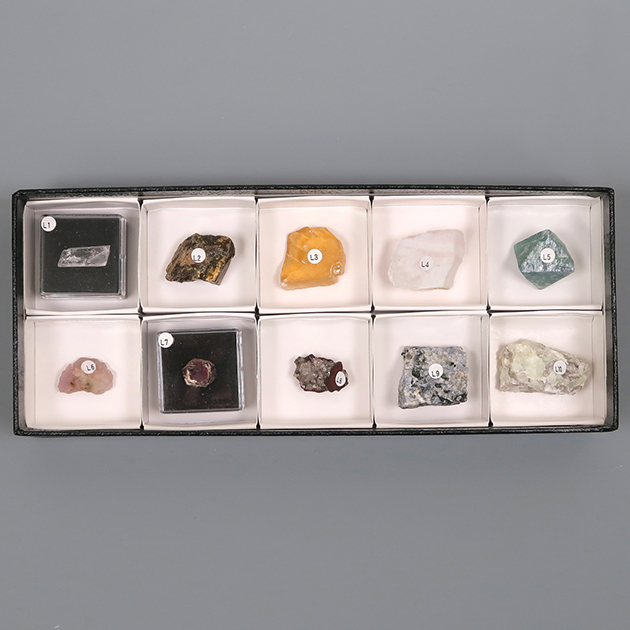XXTOYS 鉱物標本 コレクションセット 岩石標本 宝石
