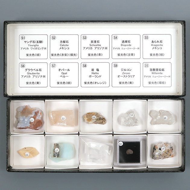 マイクロマウント 鉱物標本の楽しみ方（英語版）