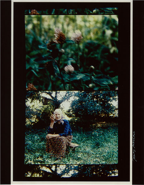 ジョナス・メカス 写真作品 限定10部 サイン入り 本物 jonas mekas