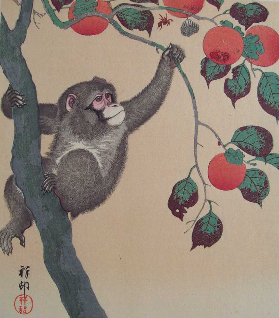 ボッセデザイン！ドイツマヨリカ窯のアヒルの子 50～70年代 Bosse