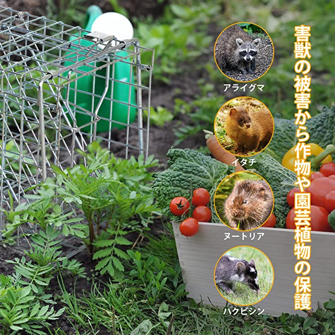 動物捕獲器 踏み板式 アニマルトラップ 小型猫用 Mサイズ 61x20x19cm