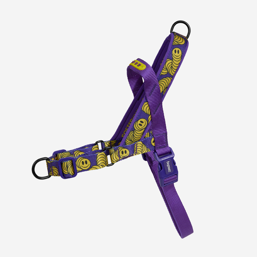 Zoeyゾーイ○犬服○ハンドメイド 胴38 NO.719 Zoeyゾーイ様専用○犬服