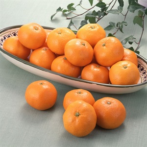 とぴあみかん（青島みかん）4.5kg 1月中旬発送開始 | 全農食品