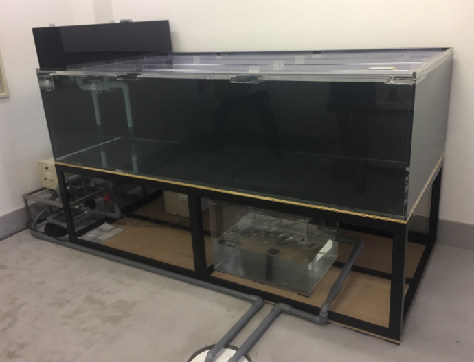 1800上部フィルター