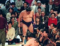 写真特集1 引退・横綱若乃花