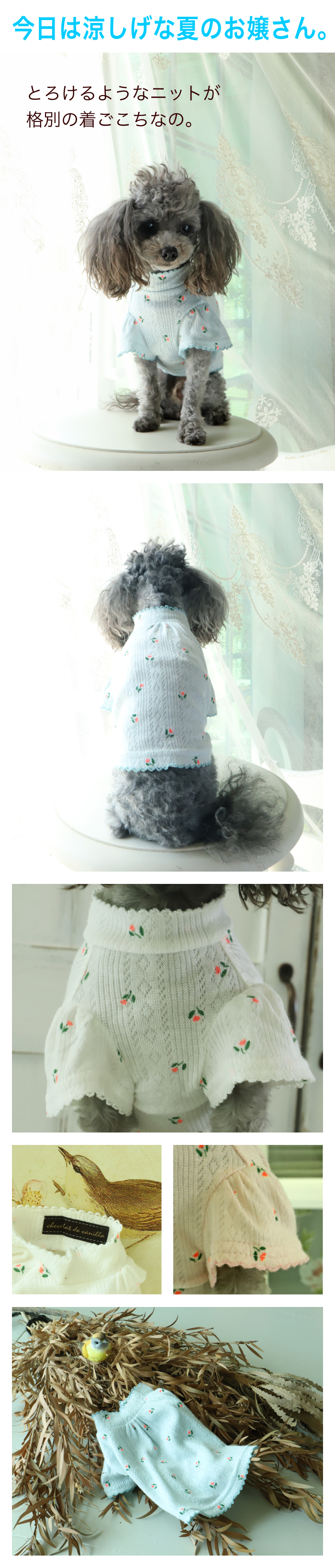 GG MADE IN TOKYO.』『GG+KIITI』『GG DENIM LINE』『Chocolat de