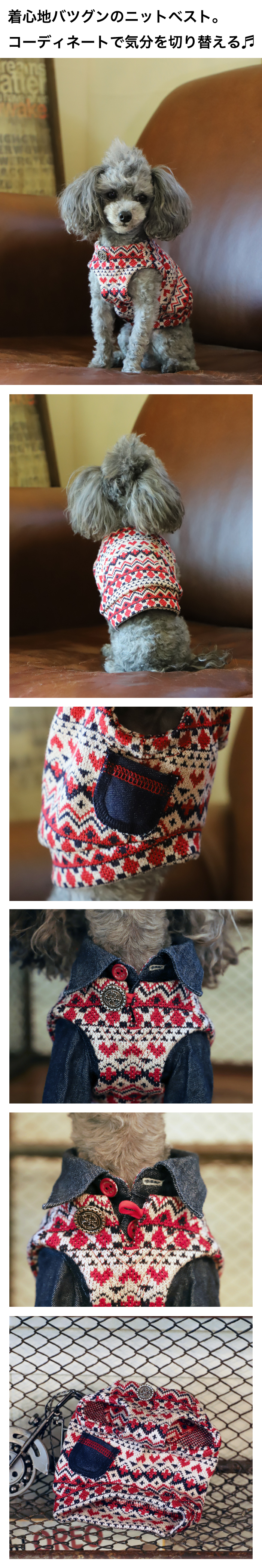 GG MADE IN TOKYO.』『GG+KIITI』『GG DENIM LINE』『Chocolat de