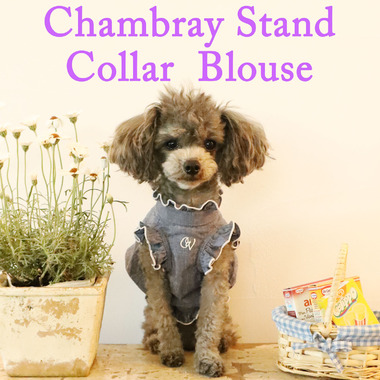 アトリエgg スタンドカラーブラウス16 GG MADE IN TOKYO.』『GG+KIITI