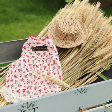 GG MADE IN TOKYO.』『GG+KIITI』『GG DENIM LINE』『Chocolat de