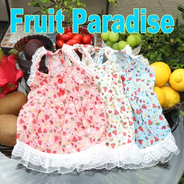 アトリエgg プエルト アトリエgg アトリエジジ プエルト FaFa 未使用