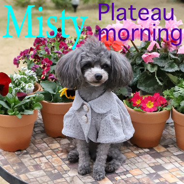 アトリエgg ミスティ