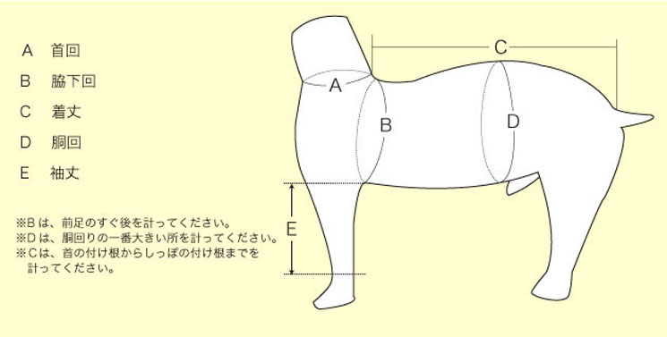 GG MADE IN TOKYO.』『GG+KIITI』『GG DENIM LINE』『Chocolat de