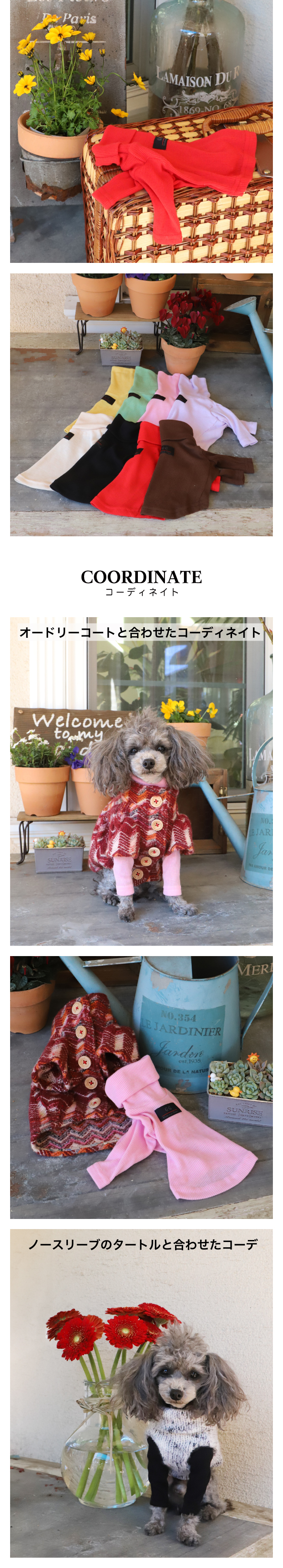 GG MADE IN TOKYO.』『GG+KIITI』『GG DENIM LINE』『Chocolat de