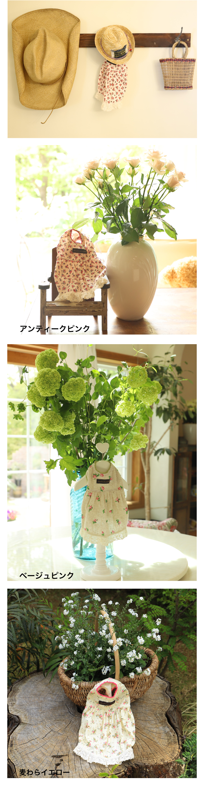 GG MADE IN TOKYO.』『GG+KIITI』『GG DENIM LINE』『Chocolat de