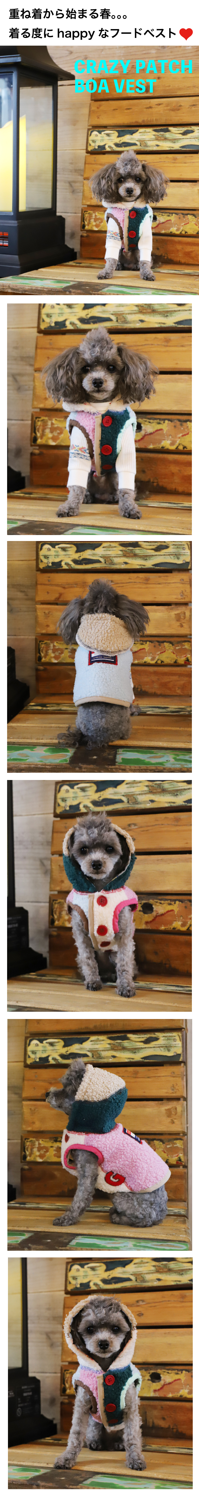 GG MADE IN TOKYO.』『GG+KIITI』『GG DENIM LINE』『Chocolat de