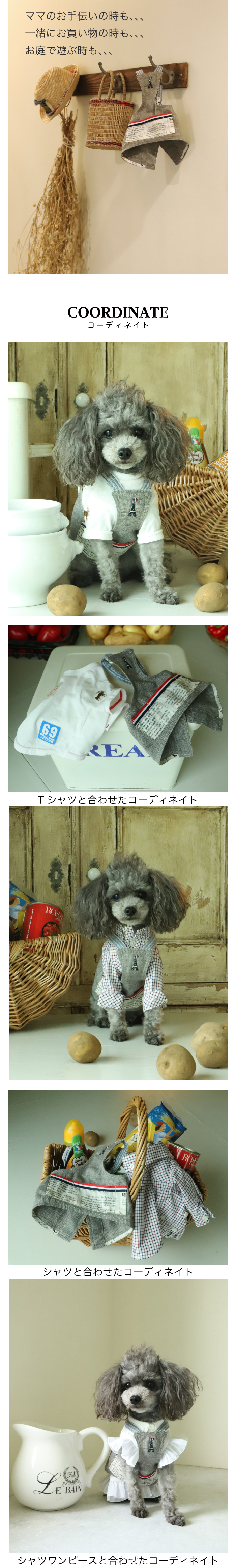 GG MADE IN TOKYO.』『GG+KIITI』『GG DENIM LINE』『Chocolat de