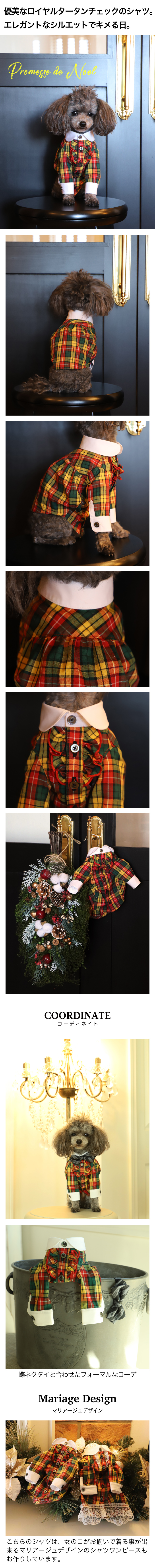 アトリエgg クリスマスシャツ