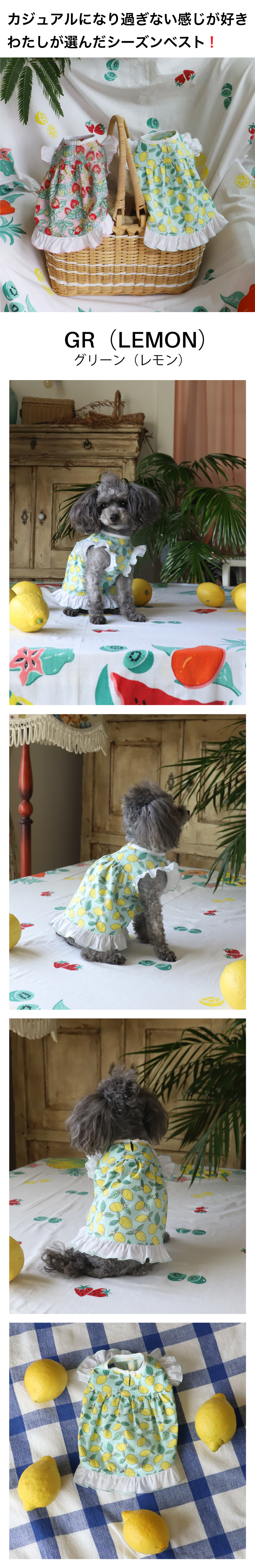 GG MADE IN TOKYO.』『GG+KIITI』『GG DENIM LINE』『Chocolat de