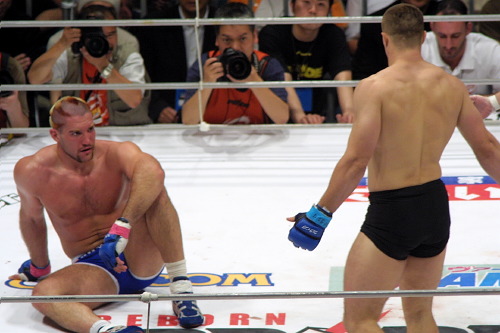 PRIDE オープンフィンガーレプリカ ドンフライ 桜庭和志ミルコ