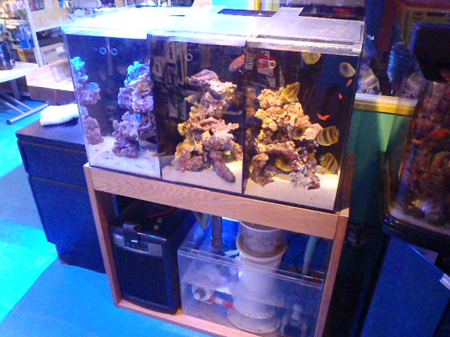 3連水槽新設 (ゼゼビット)