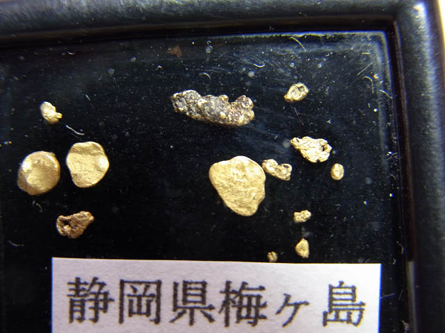 ささやかな砂金コレクション