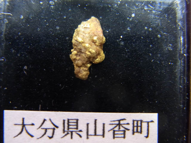 ささやかな砂金コレクション