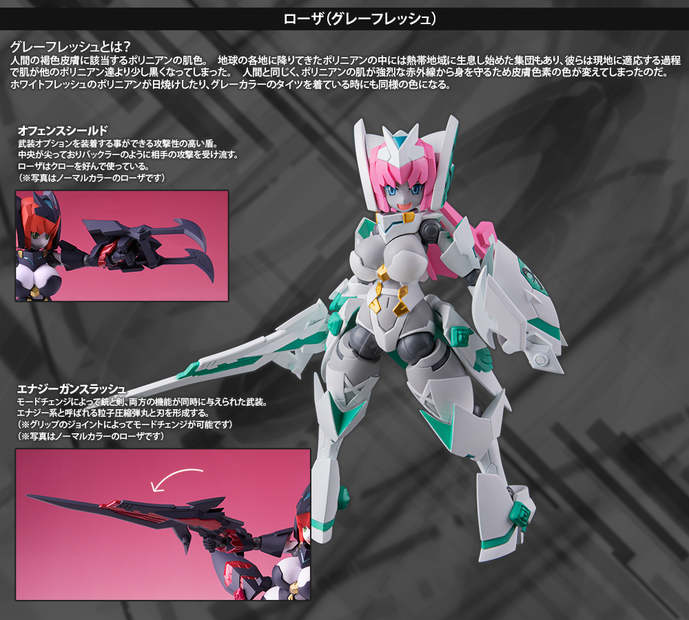 ポリニアン ローザ（グレーフレッシュ）