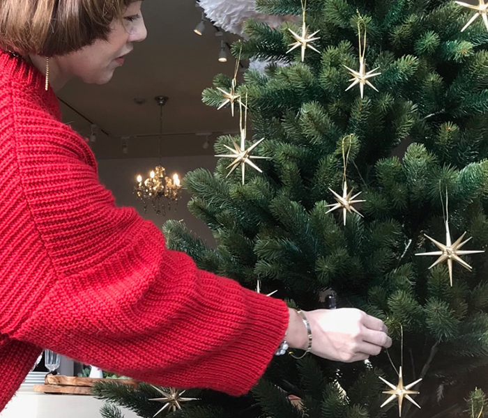 金の星（小）】ERZ ドイツ アルビンプライスラー 【正規輸入品