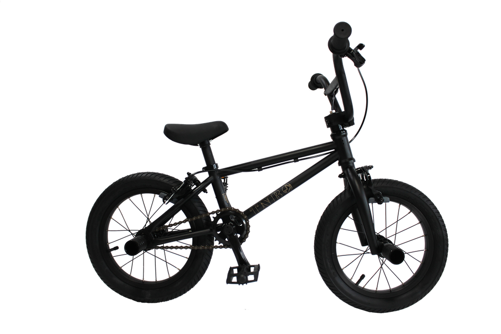 送料込- BMX フラット TNB Plug 14” PLUG 14 BMXバイク ジャイロ付き