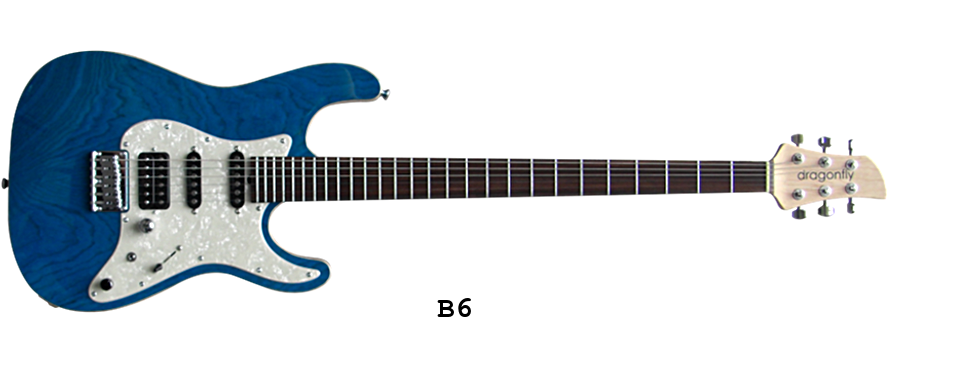 HARRY'S ENGINEERING / dragonfly custom guitars