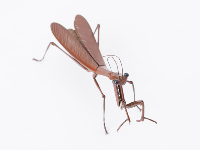 古銅自在カマキリ 螳螂 置物 長約9.2CM 古銅自在カマキリ 螳螂 置物 長