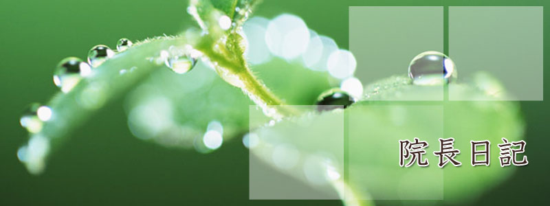 成田千空作ふた親のくに 秋領の 藤しらく肉筆真作書道色紙中村草田男