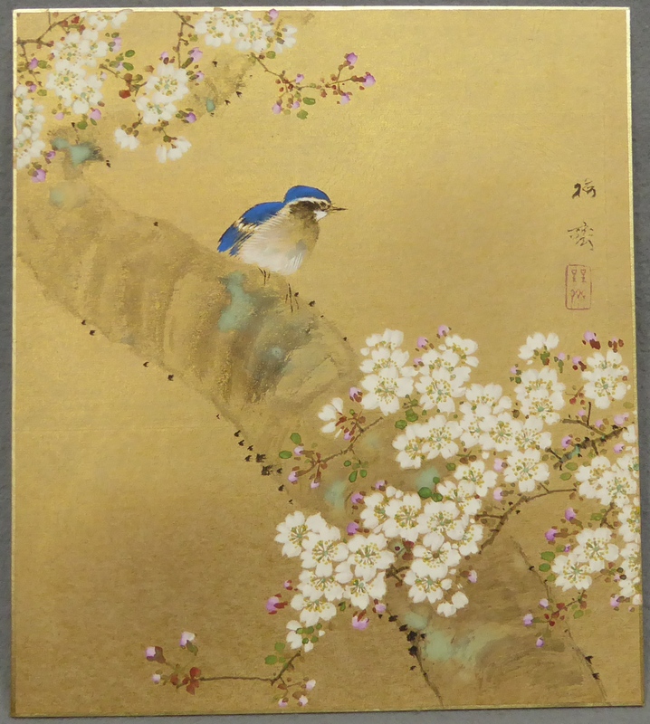 掛け軸 小川大鳳 桜に瑠璃鳥 絹本 希少 軸装 茶道具 掛軸 美品 です