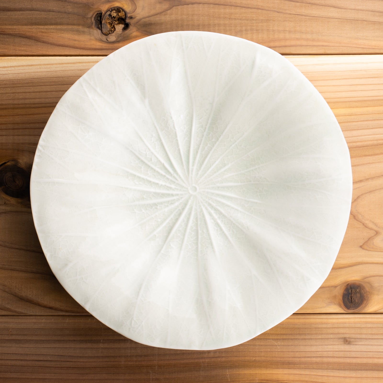 京都 清水焼】八寸皿 蓮の葉 灰青釉 前田麻美｜コトポッター