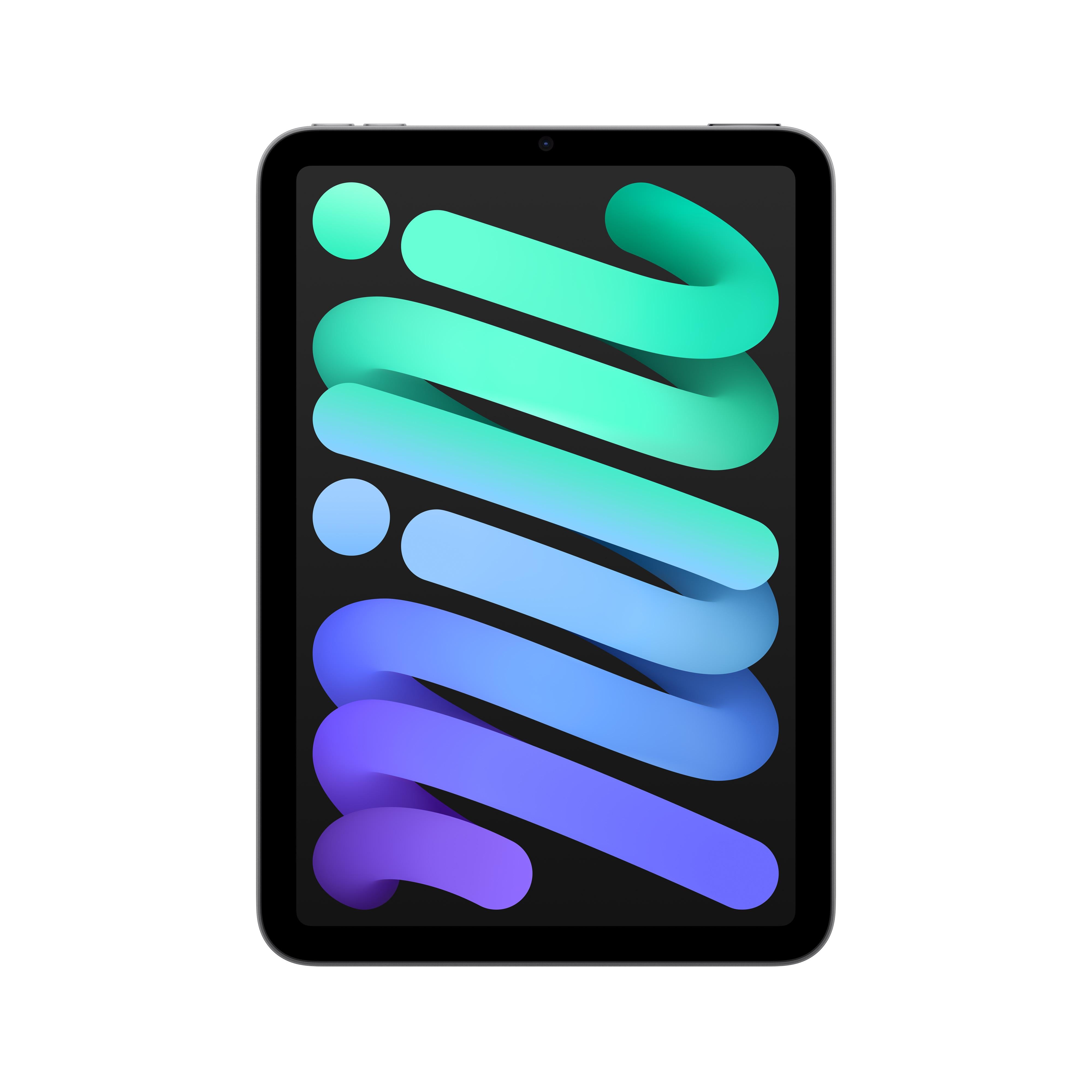 iPad mini Wi-Fi 256 Go - Gris sidéral (A17 Pro) – Lab9