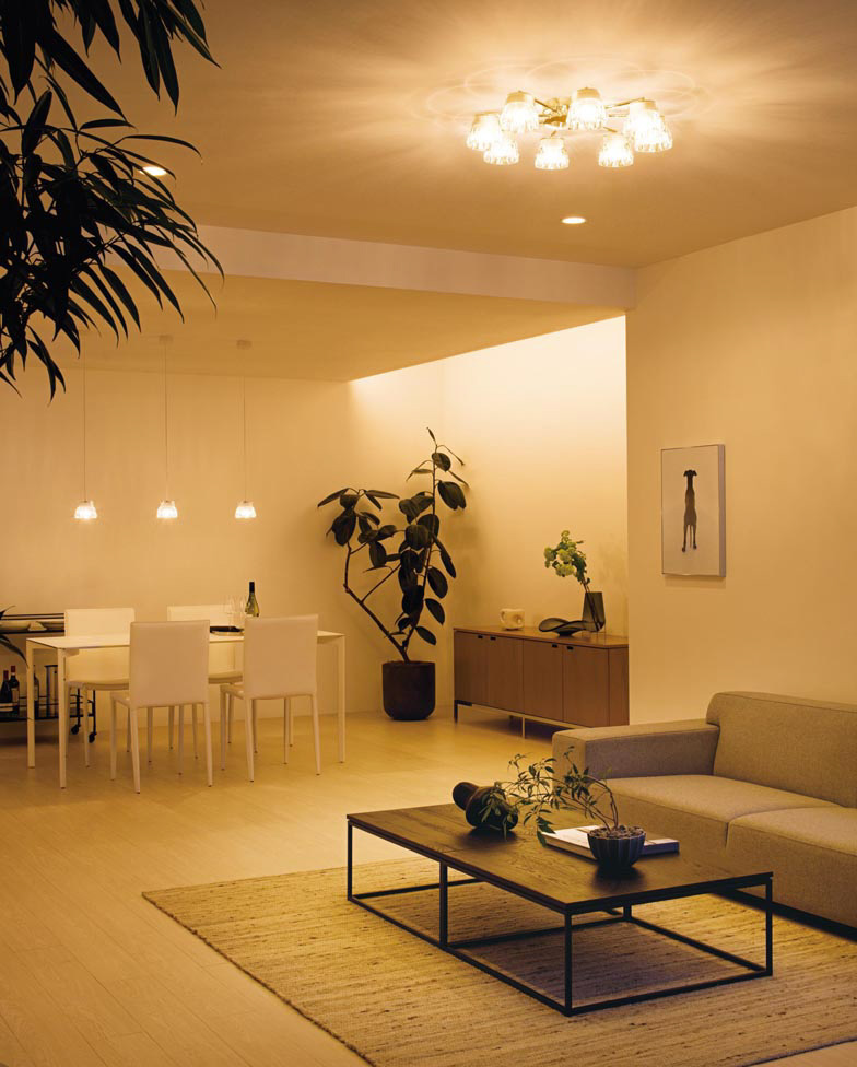 ODERIC オーデリック シャンデリア OC 006 658PC ODELIC オーデリック