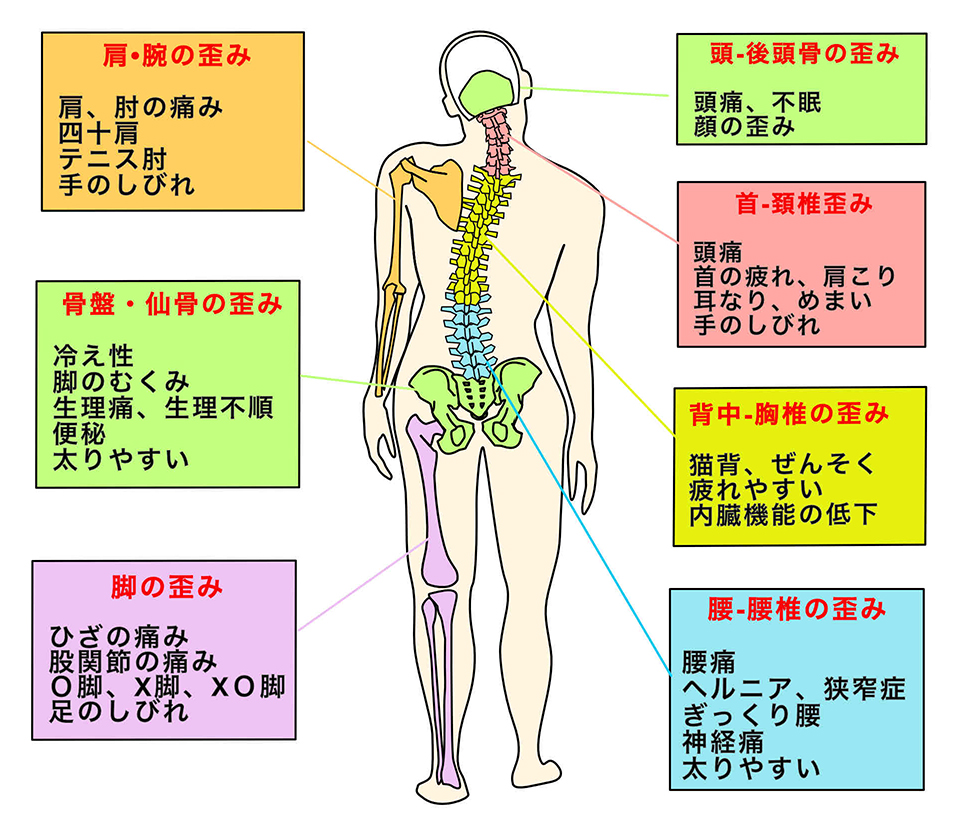 整体・カイロプラクティックコース コースのご案内 山口、下関のマエダ