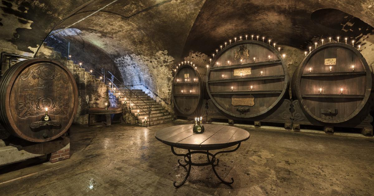 Staatlicher Hofkeller | Location @MainLit