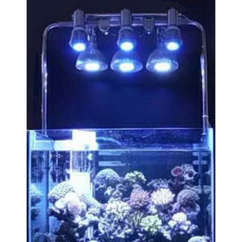 LEDサンゴ育成ライト 55個搭載 楽天市場】165W 55LEDx3W 水族館 水槽照明 海水魚 サンゴ水槽 珊瑚