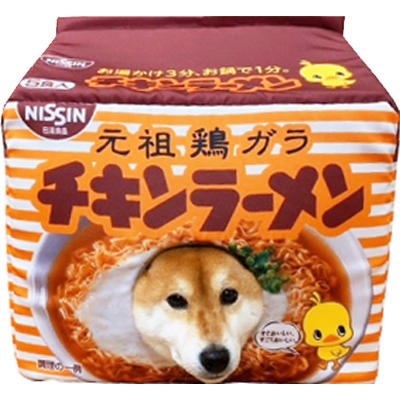 チキンラーメンデザインのペットハウス！ | Magazine | play set