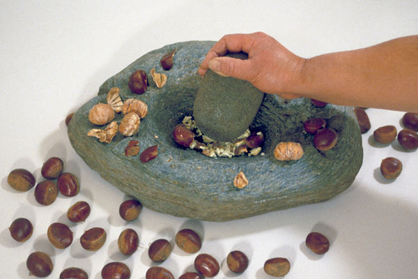 磨石と石皿（山根遺跡、行司免遺跡出土）