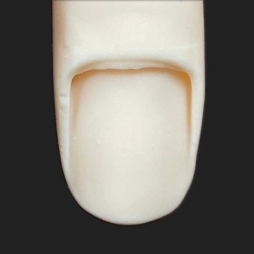 rednails web channel / STモデルハンド セット(JNEC 第1期認定モデル