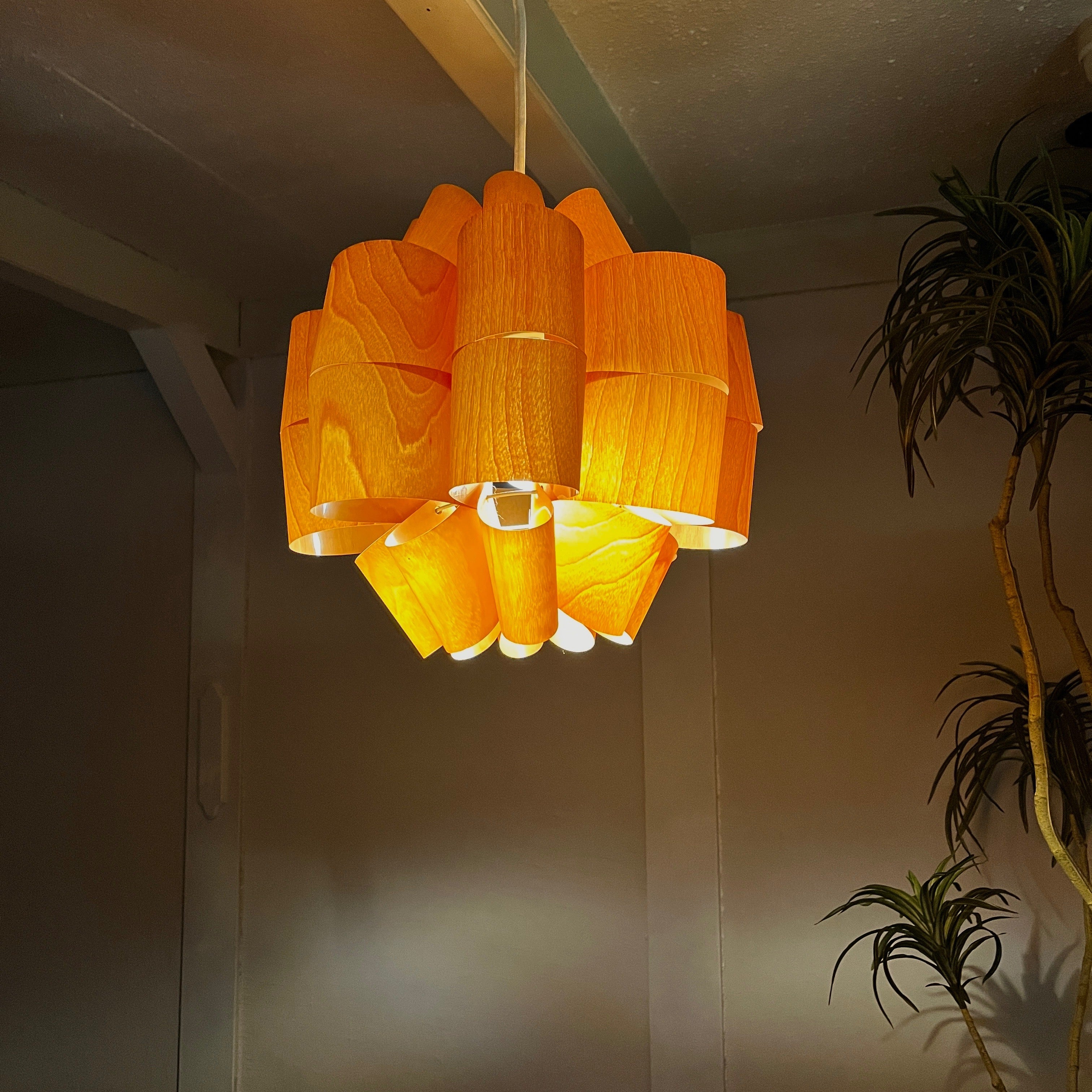 谷 俊幸 Don2 ペンダントランプ 照明 LED電球 インテリア 北欧風 楽天