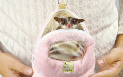 フクモモなかよしポーチ ｜ 株式会社三晃商会